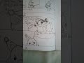 Square + Rectangle comic 3: Cut #comics #memes