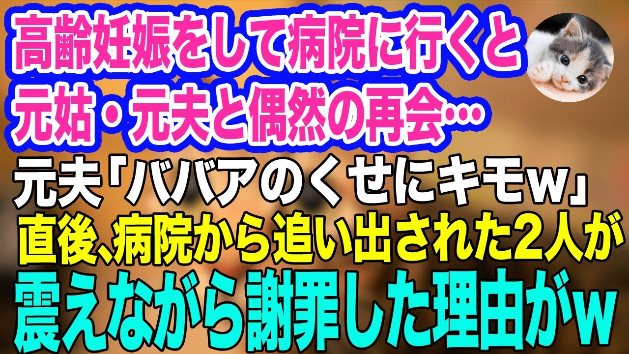 高齢妊娠をし病院に行くと、私をいびっていた元姑・元夫に偶然再会。元夫「ババアのくせにキモｗ」→しかしその直後、突然病院から追い出される2人…。実はｗ【スカッとする話】