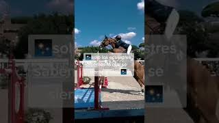 frases de caballos
