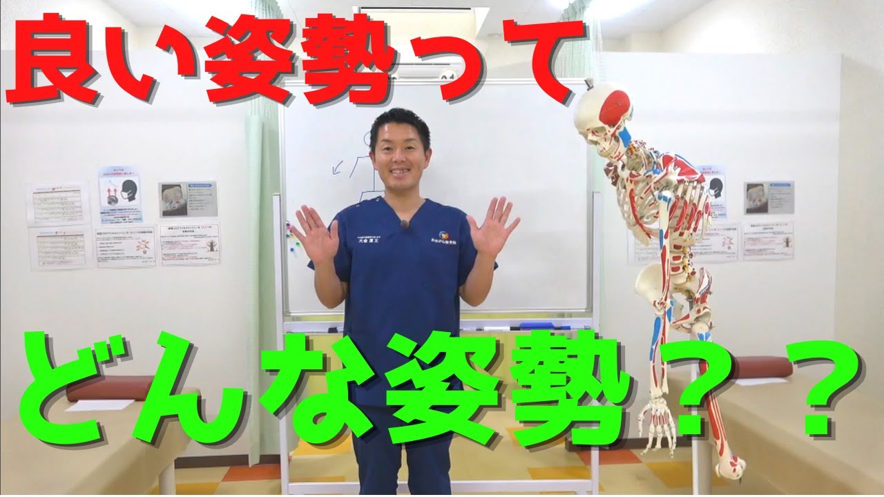 Posture Correction] Understanding Good Posture and Pelvic