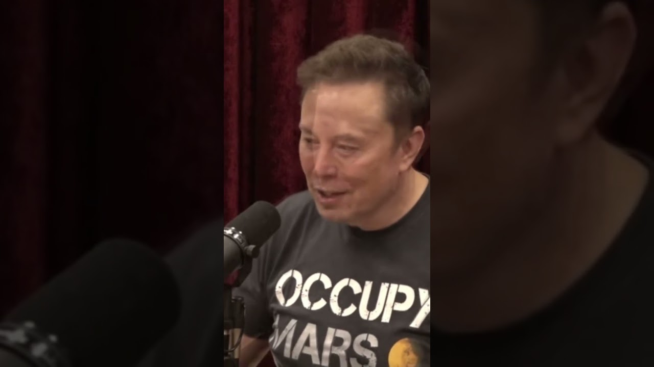 Elon Musk & Joe Rogan discuss the Democratic Party Hypocrisy (Choice words edited)
