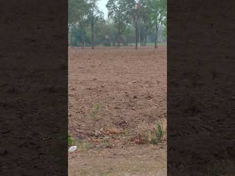 ผลสลากกินแบ่งรัฐบาล วันที่ 1 พย. 2567