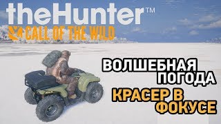 the hunter: call of the wild # Волшебная погода и Кратер в фокусе