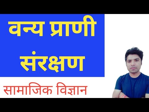 वीडियो: एक आवश्यक प्राणी क्या है?