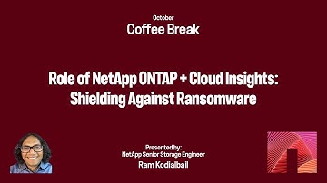Role of NetApp ONTAP and Cloud Insights in Shielding Against Ransomware