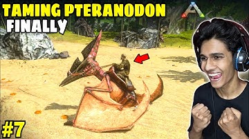 I Finally Tamed a Pteranodon 😱 - Ark Mobile Pteranodon Taming