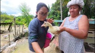 The Experience of Being Chased by a Goose is Back..!