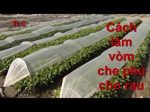 Video Cách làm vòm che phủ cho rau - youtube