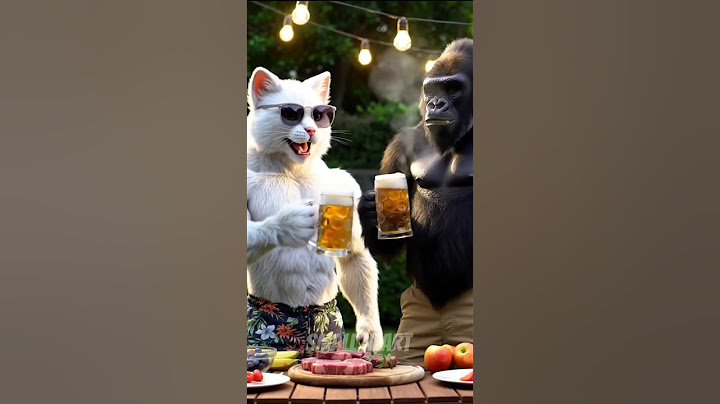 Panda Turns Cat’s Fur into a Gift for Gorilla! 😂✨ #funnypanda  #heartwarming #ai