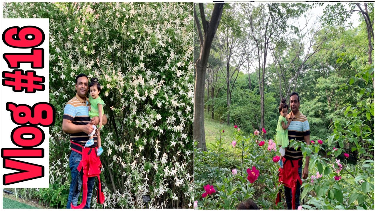 대구수목원 (Daegu Arboretum) A super beautiful place to visit ..Vlog #16