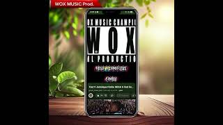 On a déjà banni la concurrence partout. WOX MUSIC dans le ✨⭐