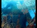 (9) Ushuaia Nature - Les seigneurs des Oceans (Nouvelle Zélande)