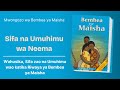 Neema - Wahusika Katika Bembea Ya Maisha - (Kipindi cha Tatu)