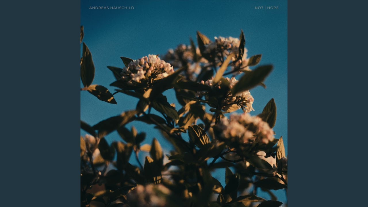 Andreas Hauschild - No7 Hope