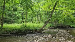A River Changes Course