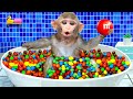 Kiki monkey bath in the rainbow bathtub full of mm candy and play with ducklings  kudo animal kiki