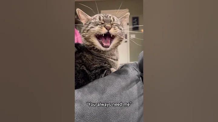 I got tired of waiting for her to wake up and hang...