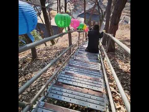 23년 12월  28일 홍주암