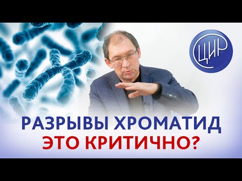 Видео: Как бы вы описали кариотип?