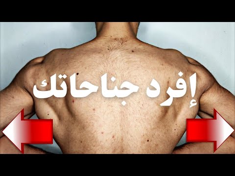 ازاي تفرد عضلات المجنص أجنحتك التي لا تعرف عنها الكثير