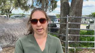 Citrus County Animal Services Takes in 92 Pets from Cruelty Case