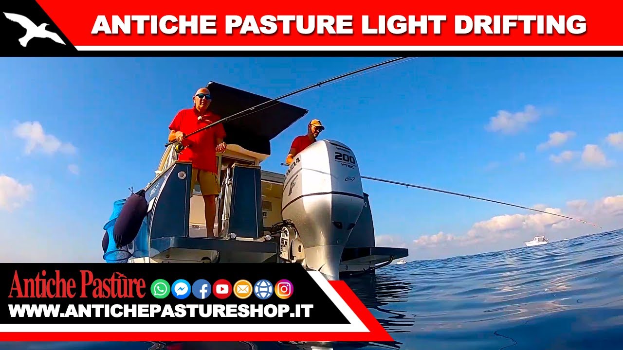 ANTICHE PASTURE - LIGHT DRIFTING ESTATE 2022