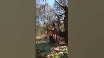 Taking Close Up Photos of Insects...