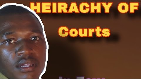 Hierarchy of Courts, become A lawyer in just minutes,