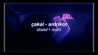 çakal -antrikot (slowed+reverb) Resimi