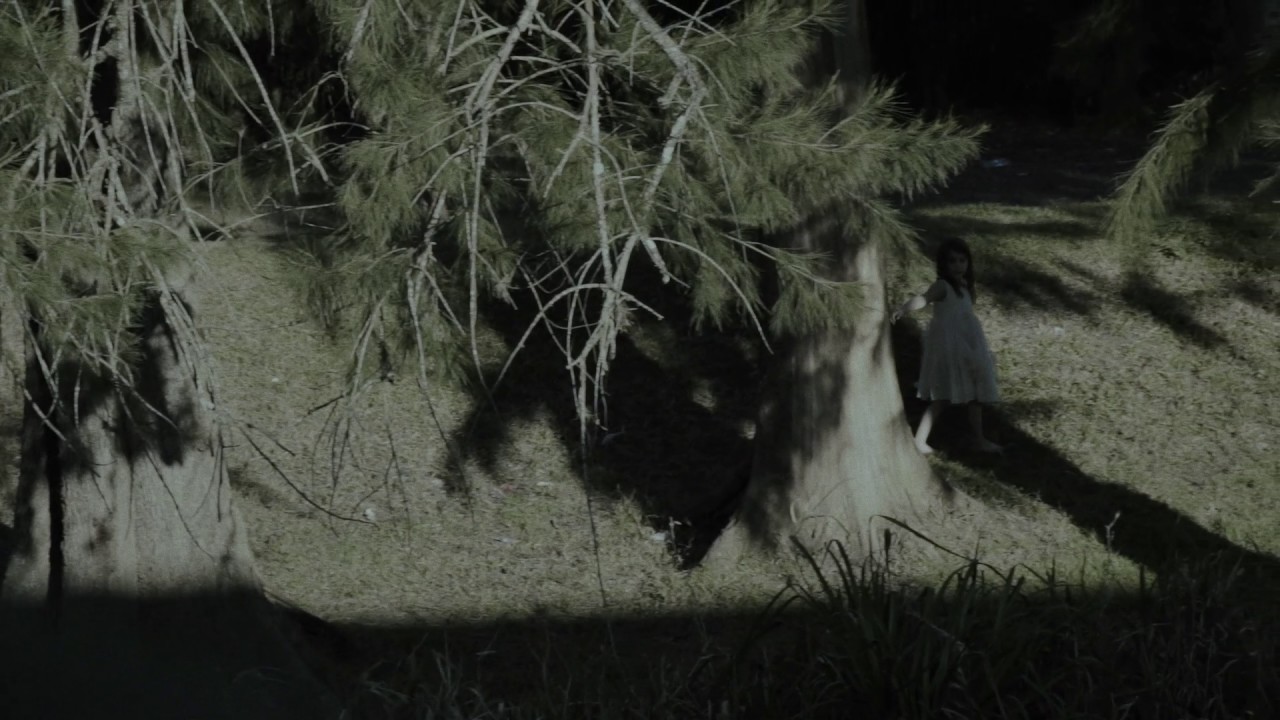 THE MOODSWINGER / PROMISE / VIDEOCLIP