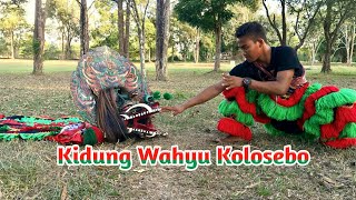 Kidung wahyu kolosebo ( cover barongan)