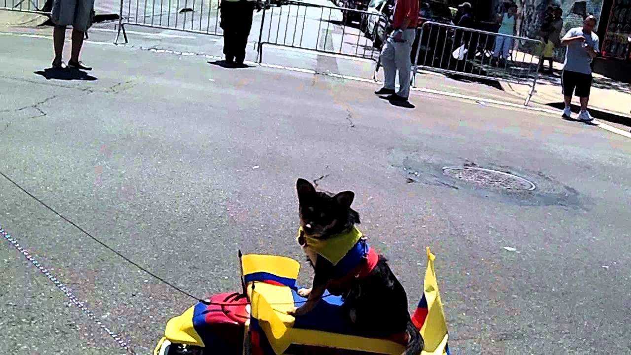 Colombian Parade~2011~Queens NY~ Jacked up Jeep~NYCParadelife - YouTube