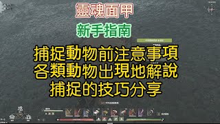 【靈魂面甲】soulmask 新手指南 如何捕捉動物/水豚猴子鸚鵡火雞食人鯧螢火蟲/陷阱籠使用說明/捕捉的注意事項說明