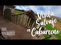 VISITA SALVAJE EN CABÁRCENO 🐘