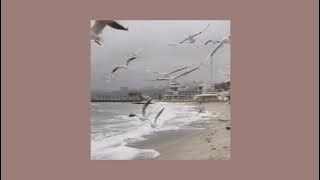 ST12 - Putri Iklan || Speed Up