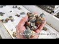AMD Clam Sorting With X-Ray Sorter/Sortex Machine For Seafood Quality Guard