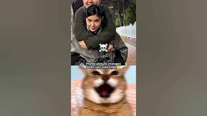 HELPING PARTNER 😆 #cat #bombastic #laugh #funny #viral