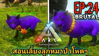 Ark Mobile Brutal สอนเลี้ยงลูกหมาป่าโหดๆ EP:24