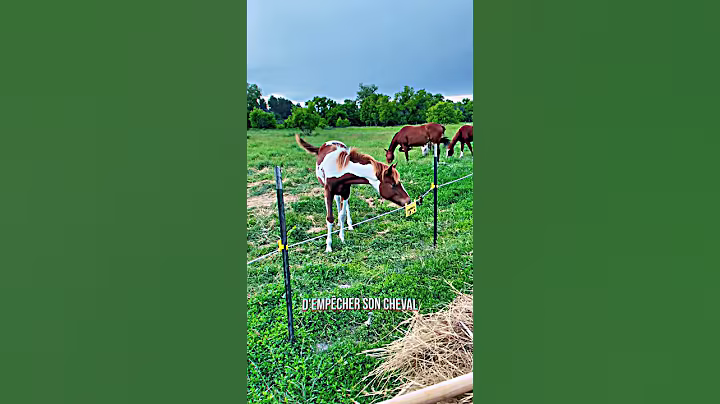 This girl is a genius