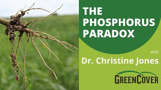 'The Phosphorus Paradox' with Dr. Christine Jones (Part 2/4)
