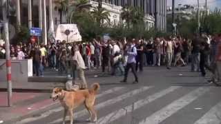 Riot Dog Loukanikos In Action During 2011 Athens Protests - Truthloader Riot Dog Loukanikos In Action During 2011 Athens Protests - Truthloader