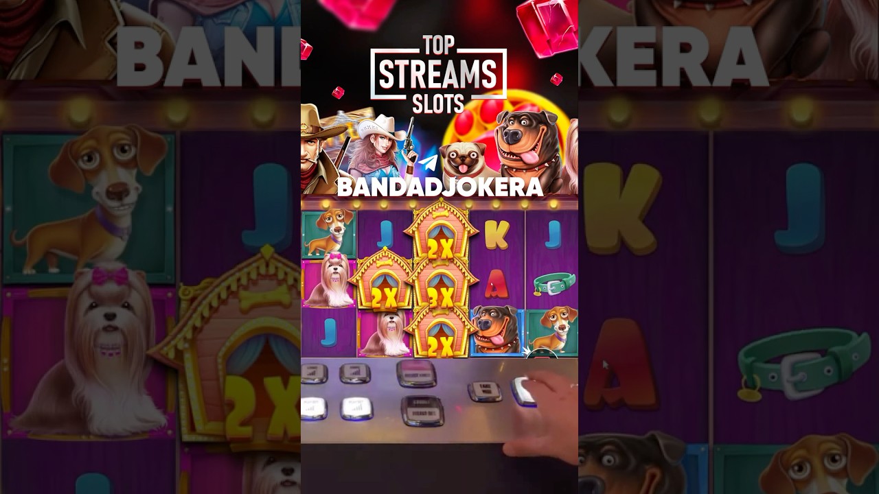 Поймал топовый бонус в слоте The Dog House 