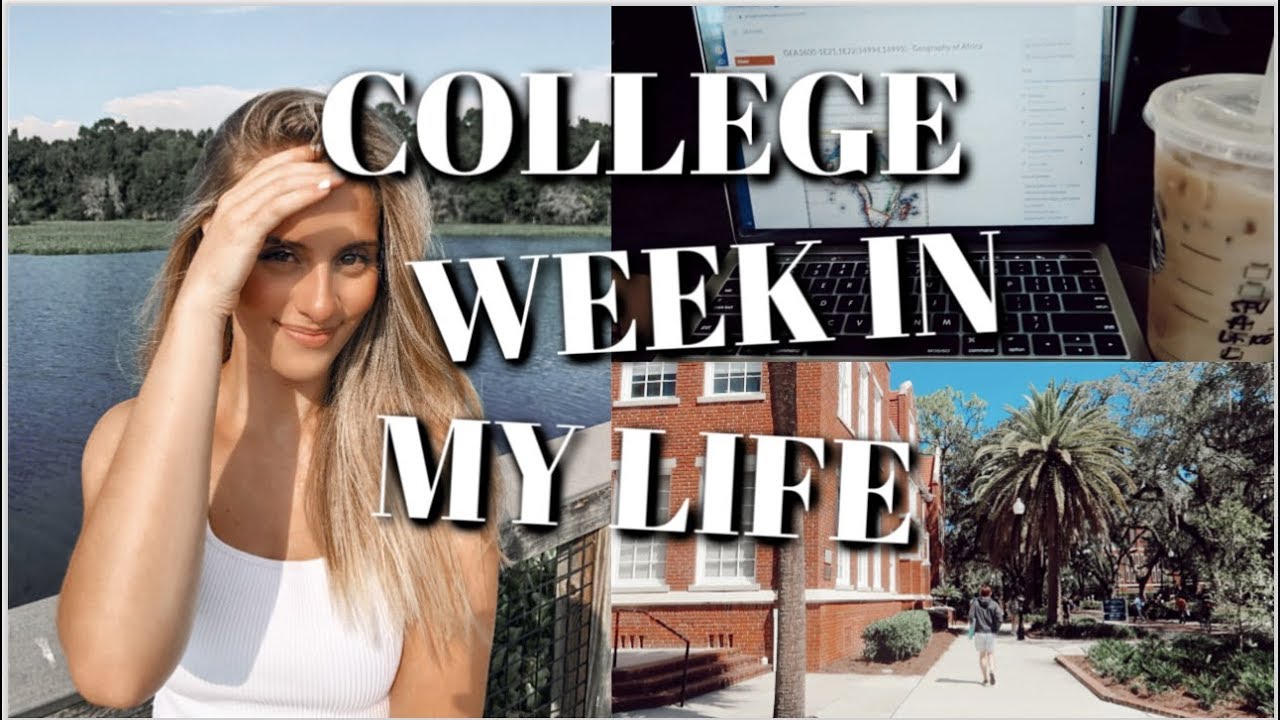 college-week-in-my-life-uf-first-week-of-classes-youtube