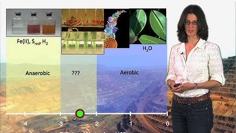 Primitive photosynthesis - Dianne Newman (Cal Tech/HHMI)