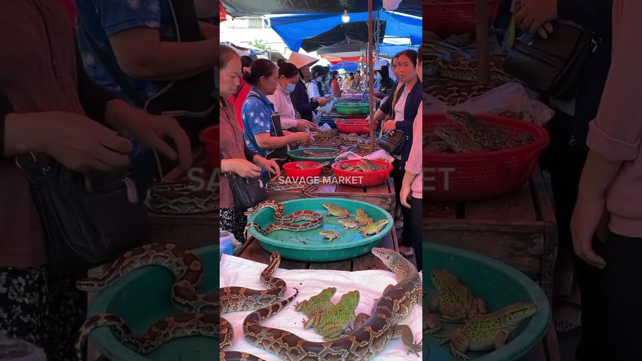 Unbelievable Exotic Animal Market in Asia 😳🐍