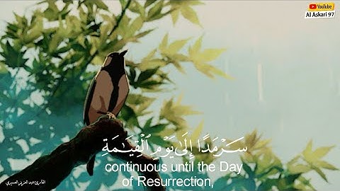 تلاوة خاشعة | بصوت القارئ عبد العزيز العسيري تلاوة من (سورة القصص)🍃🕊