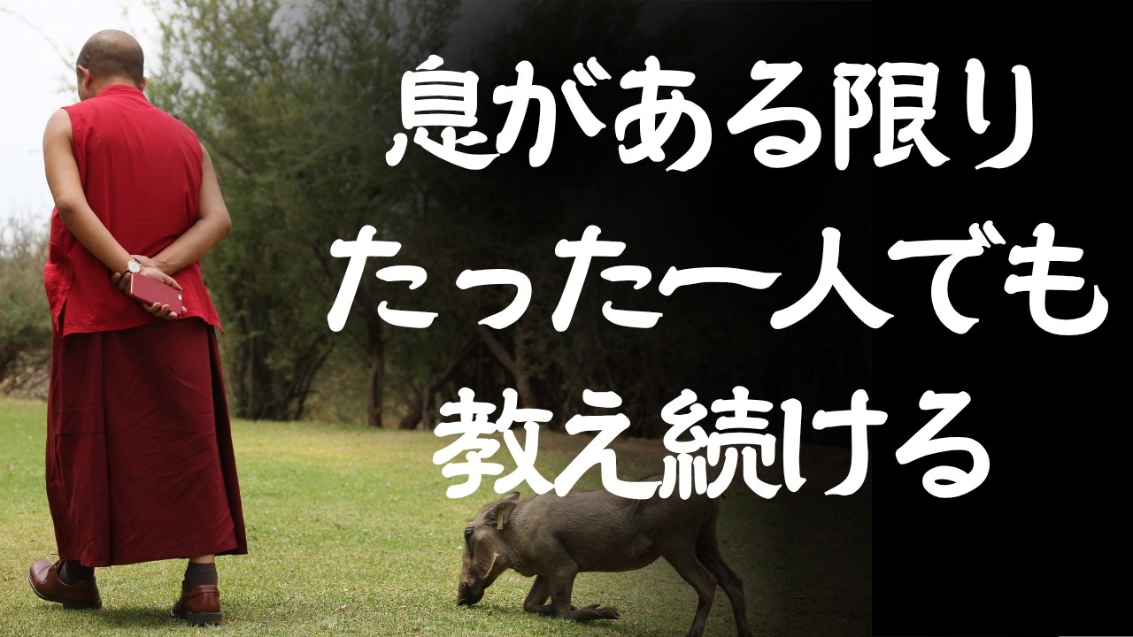 ケンポ・ソダジについて