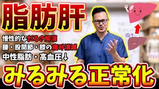 【脂肪肝】何をやっても痩せない本当の原因。みるみる数値が正常化する秘密のセルフケア