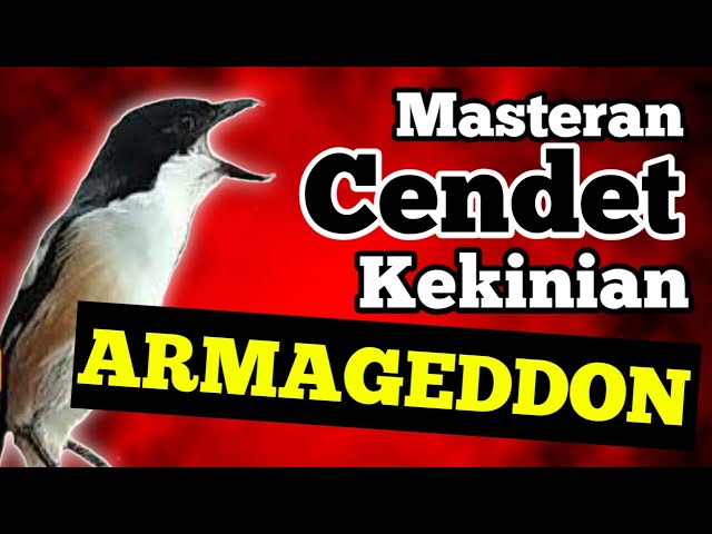 Masteran Armagedon Kekinian Banget Untuk Materi Burung Cendet class=