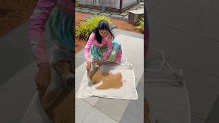 Cotton Papad,Vadagam, Spices, Millets Drying Cloth with Net / online shopping 🛍️